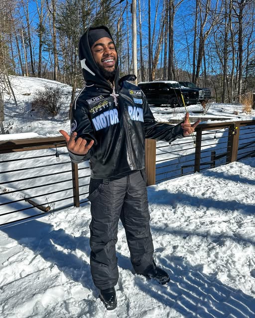 Ant in the snow